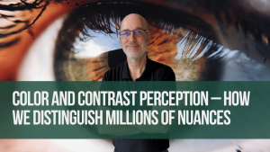 Color and Contrast Perception – How We Distinguish Millions of Nuances - Eyroq